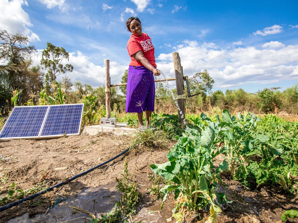 一位妇女在太阳能电池板旁给植物浇水。