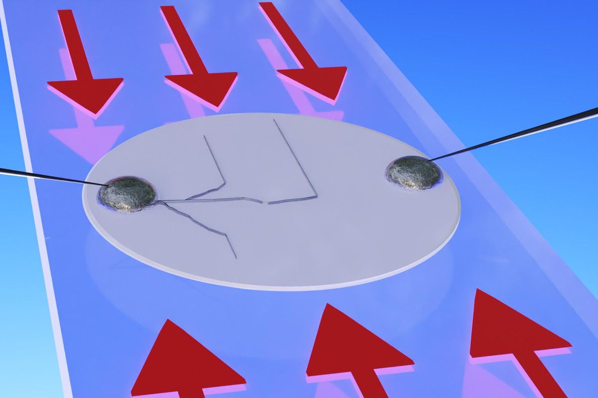 插图显示了一个灰色的圆盘，两端各有两个金属圈，每个圈上都连接着一块薄金属。细细的灰色条纹从其中一根树枝上伸出来。磁盘的上方和下方是面向磁盘的红色箭头。